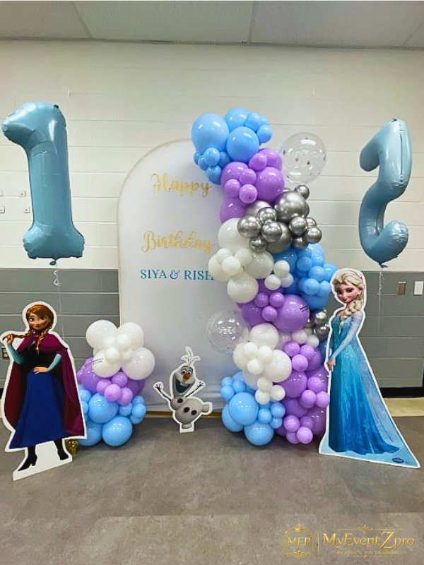 Frozen Theme Birthday Balloon Backdrop Arch With Cut Out